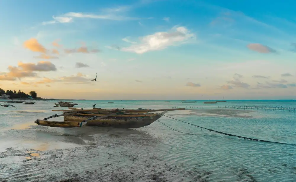 Letenky Zanzibar